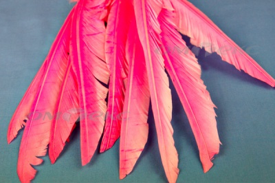 Декоративный Пучок из перьев, перо 25см/розовый - купить в Иваново. Цена: 14.40 руб.