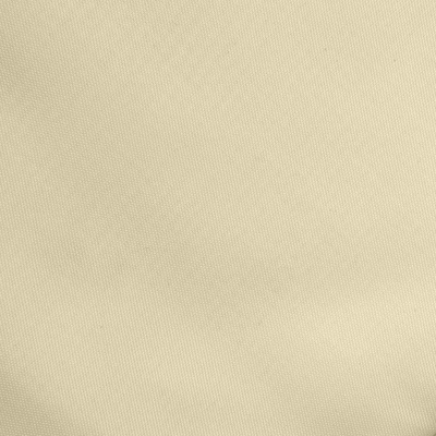 Ткань подкладочная Таффета 14-1014, антист., 53 гр/м2, шир.150см, цвет бежевый - купить в Иваново. Цена 62.37 руб.
