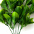 Трава искусственная -1, шт (эвкалипт лист 32 см/8 см)				 - купить в Иваново. Цена: 169.93 руб.