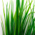 Трава искусственная -2, шт (осока 41см/8 см)				 - купить в Иваново. Цена: 104.57 руб.