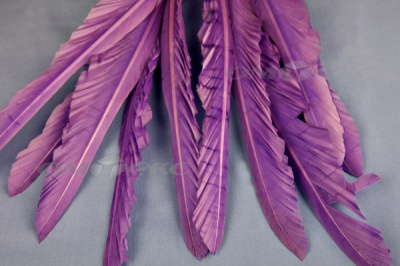 Декоративный Пучок из перьев, перо 25см/фиолетовый - купить в Иваново. Цена: 12.19 руб.